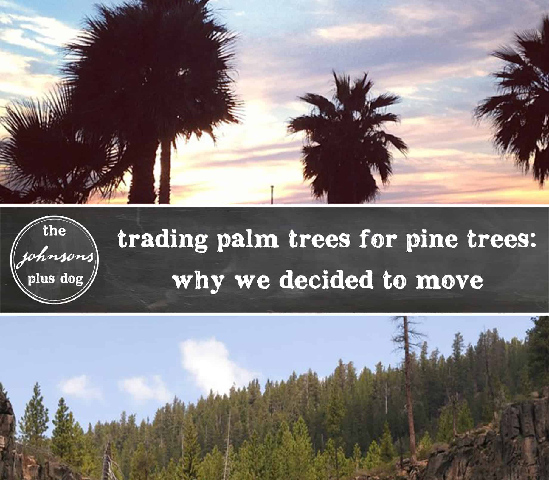 Trading Palm Trees for Pine Trees: Why We Decided to Move - Making ...