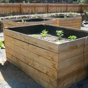 DIY Cedar Raised Garden Beds | CHEAP & EASY - Making Manzanita