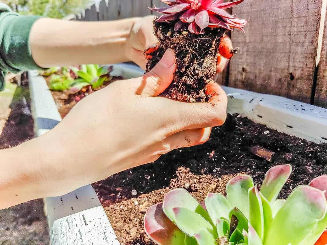 How to Make an Outdoor Chalkboard - Making Manzanita