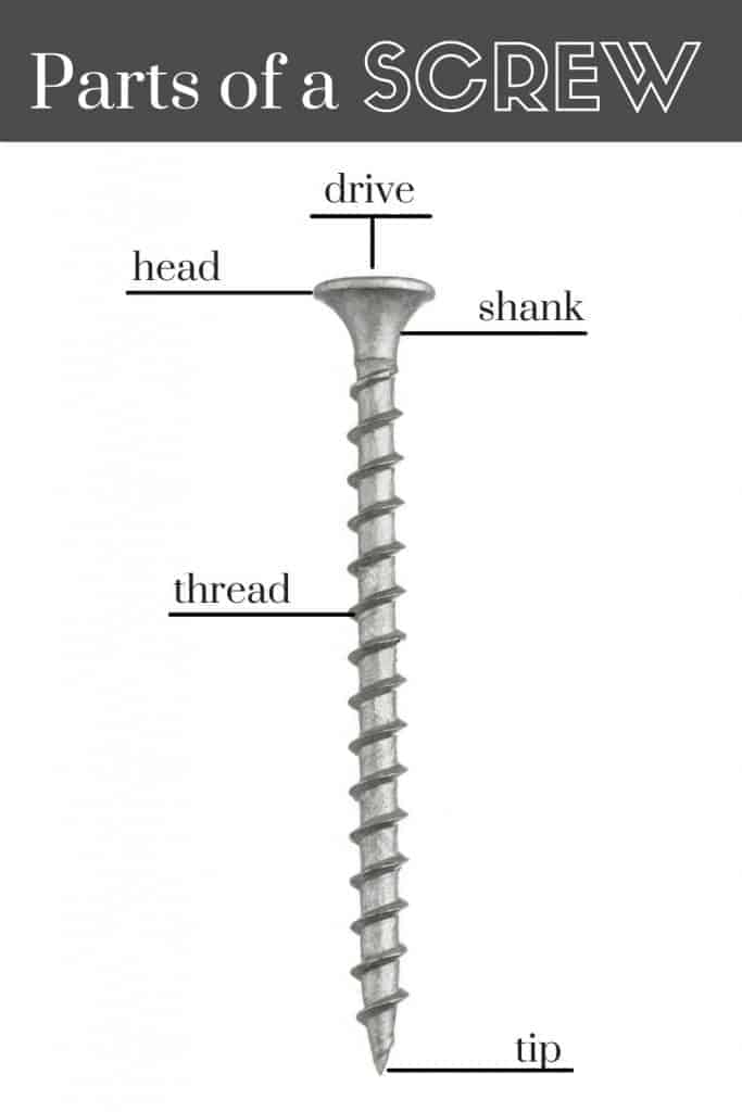 Anatomy of a Screw: Parts, Materials & More - Wilson-Garner