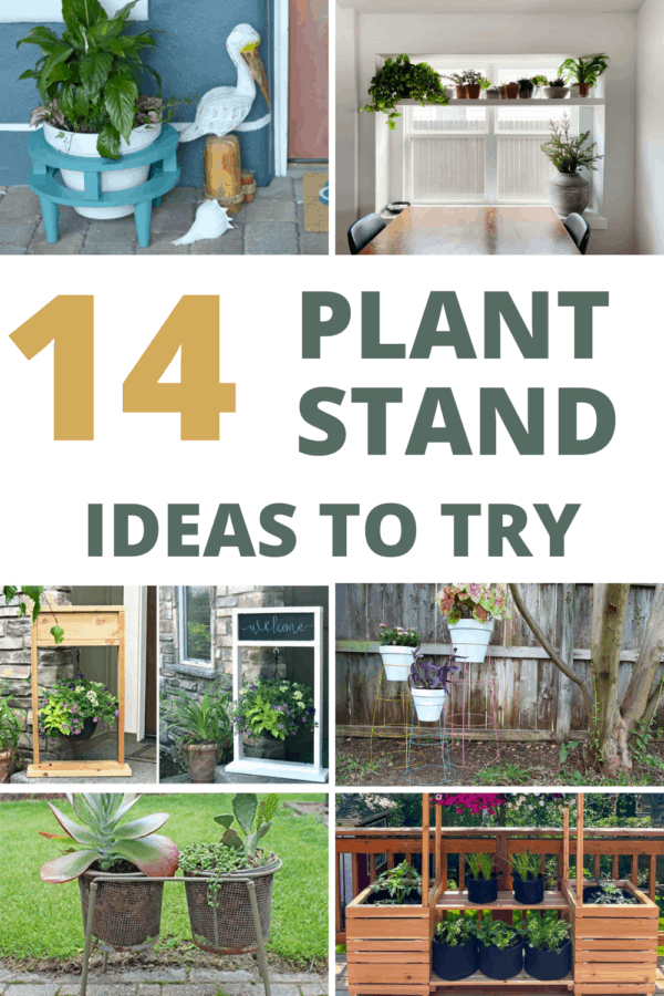 Plant Stand Ideas: 20+ Ideas to Try