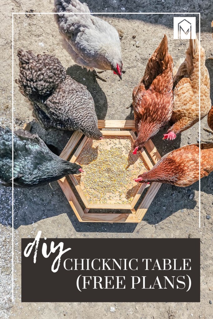 A photograph highlighting chickens enjoying their meal at the DIY Chicknic Table. With textoverlays saying "DIY Chicknic Table (FREE PLANS)"