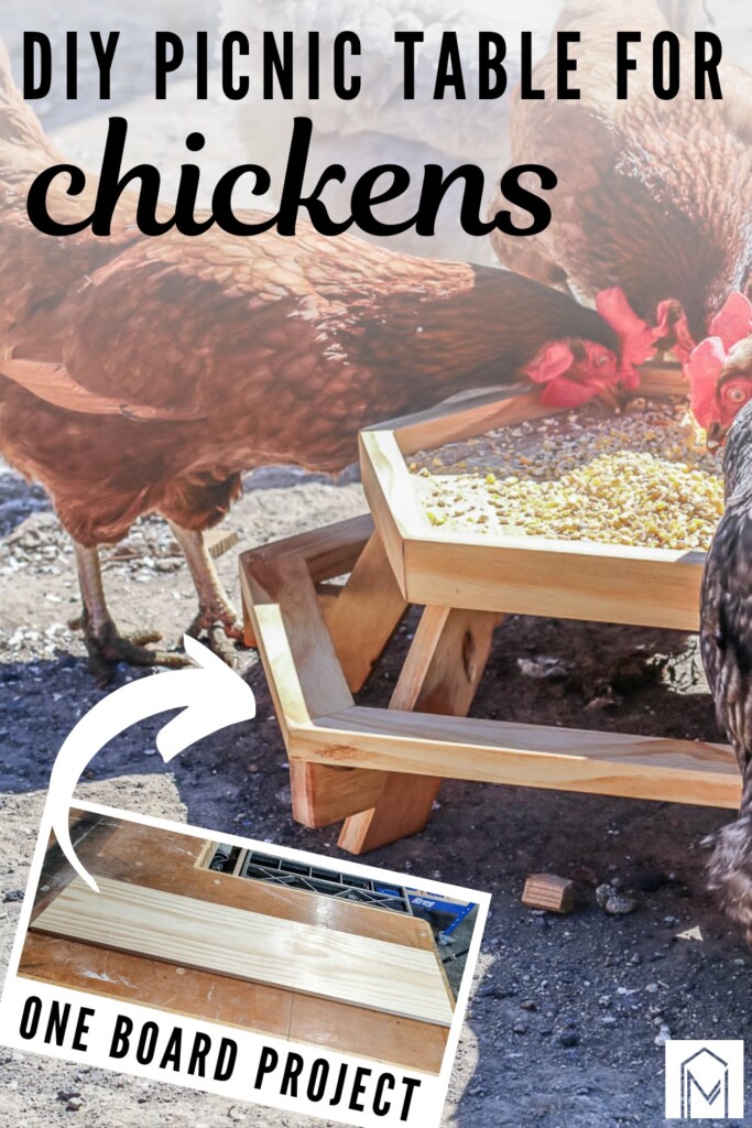 A photograph displaying chickens happily eating at the DIY Chicknic Table, accompanied by text overlays stating "DIY picnic table for chickens".