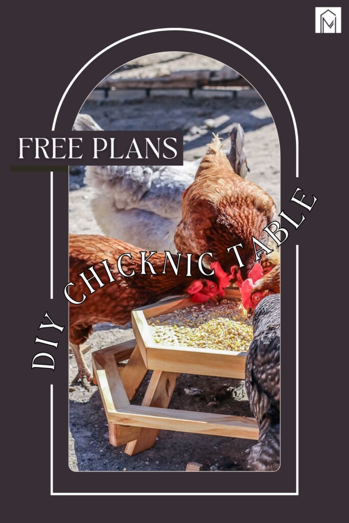 Photo of a Chicken Eating at a Table with text overlays saying "DIY Chicknic Table".